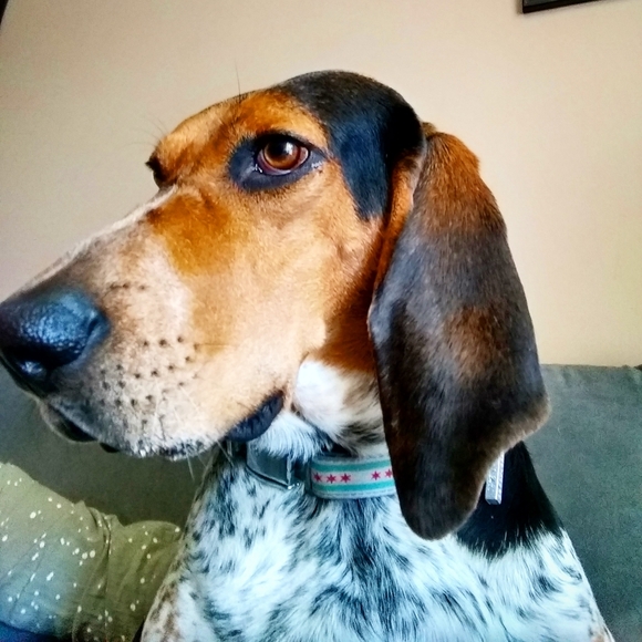 Meet your Posher, Natalie - Picture 5 of 6